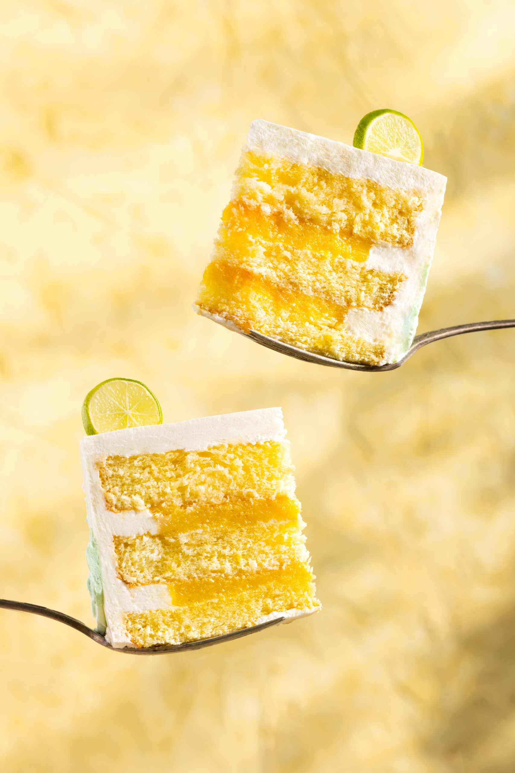 221103 - I2P Composition - Jena Carlin Creative-0195-Edit - WEB