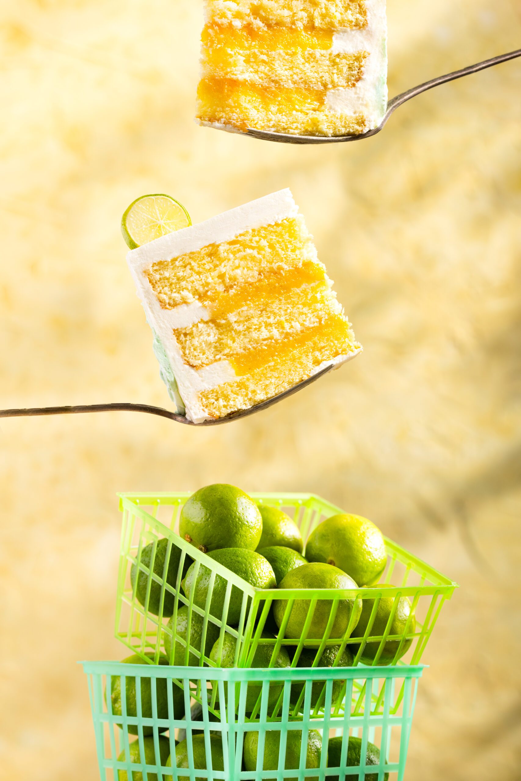 221103 - I2P Composition - Jena Carlin Creative-0269-Edit - WEB-2