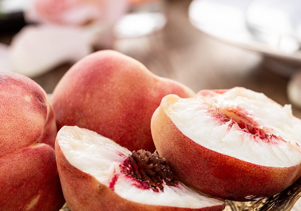 Food Photography Retreat Workshop - Learn Food Photography in person - Jena Carlin Photography - 6B6A5848