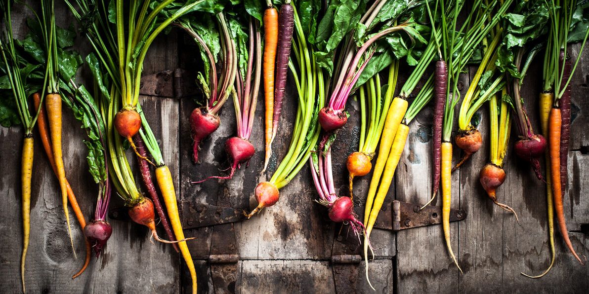 Root Vegetable Beets Carrots Rustic - Jena Carlin Photography - Little Rusted Ladle_WEB